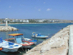 Fishing boats in Ayia Napa