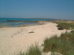 The beach at Ayia Thekla