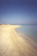 Fig tree Bay beach is one of the best beaches in Cyprus