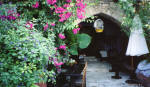 The garden and pool area of Naturela house is an ideal place to relax on your agrotourism holiday in Cyprus.